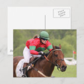 Briefkaart van paardenras (Voorkant / Achterkant)