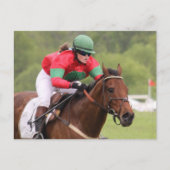 Briefkaart van paardenras (Voorkant)