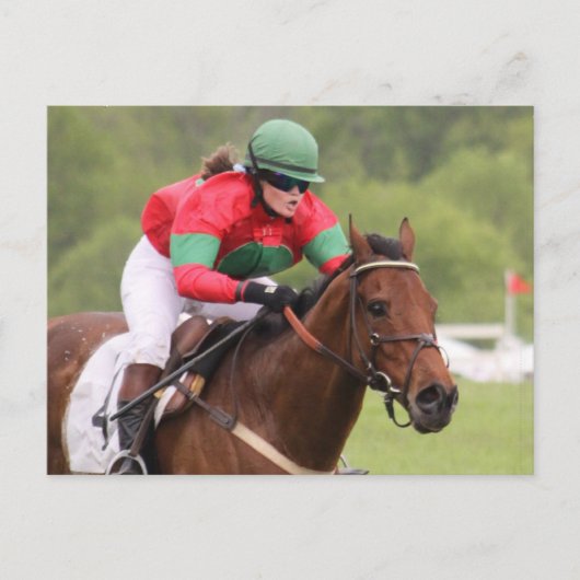 Briefkaart van paardenras (Voorkant)