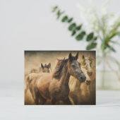 briefkaart van paardenstamphout (Staand voorkant)