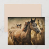 briefkaart van paardenstamphout (Voorkant / Achterkant)