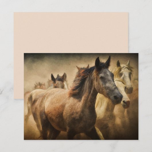 briefkaart van paardenstamphout (Voorkant / Achterkant)