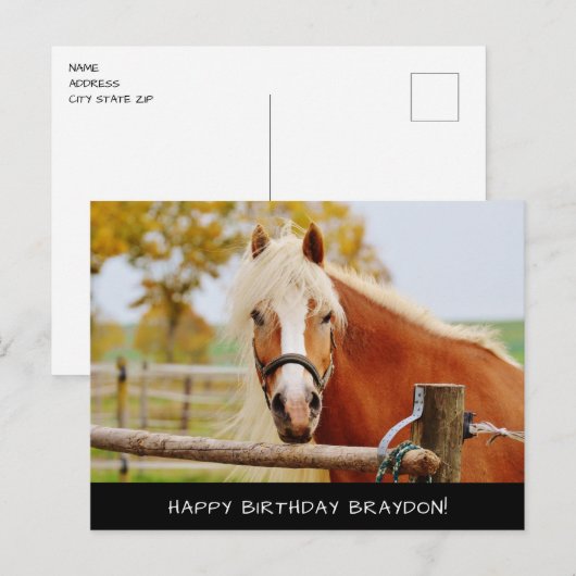 Briefkaart van paardenvogels (Voorkant / Achterkant)