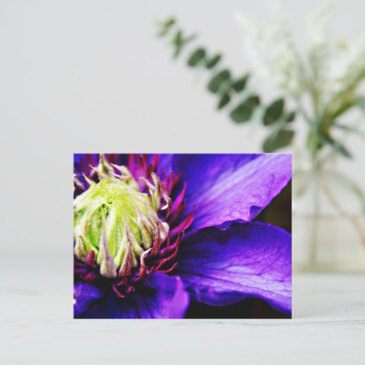 Briefkaart van Paarse bloem (Staand voorkant)