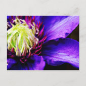 Briefkaart van Paarse bloem (Voorkant)