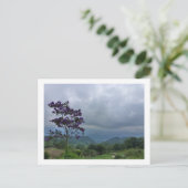 briefkaart van Paarse bloemen (Staand voorkant)