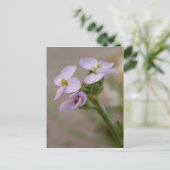 Briefkaart van paarse bloemen (Staand voorkant)