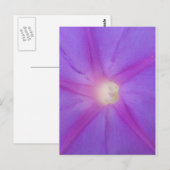 briefkaart van Paarse bloemen (Voorkant / Achterkant)