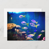 Briefkaart van Paarse en gele vis (Voorkant / Achterkant)