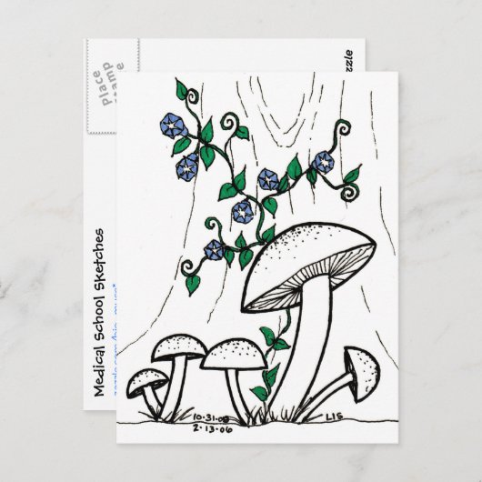 Briefkaart van paddenstoelen en blikjes (Voorkant / Achterkant)