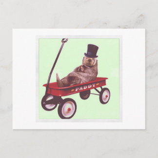 briefkaart van paddywagon