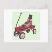 briefkaart van paddywagon (Voorkant)