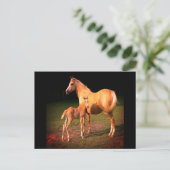 Briefkaart van Palomino-paarden en -kouten (Staand voorkant)