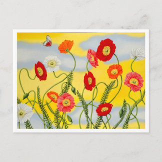Briefkaart van papaver