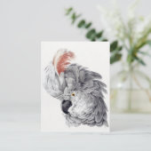 Briefkaart van papegaai (Staand voorkant)