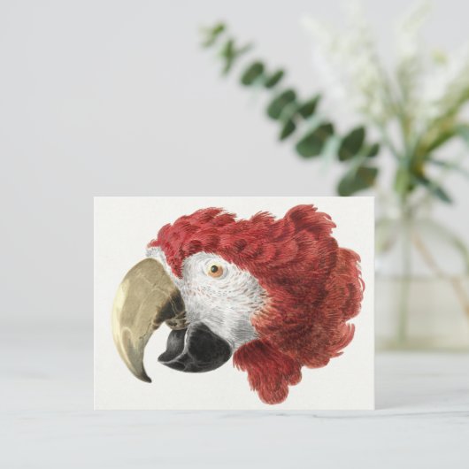 Briefkaart van papegaai (Staand voorkant)