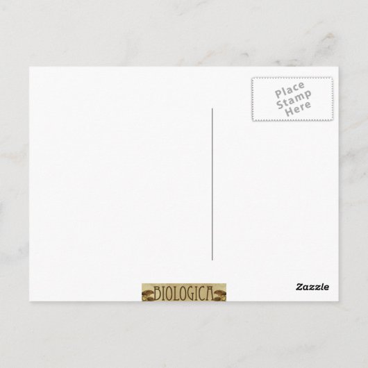 Briefkaart van Paradise Bird (Achterkant)