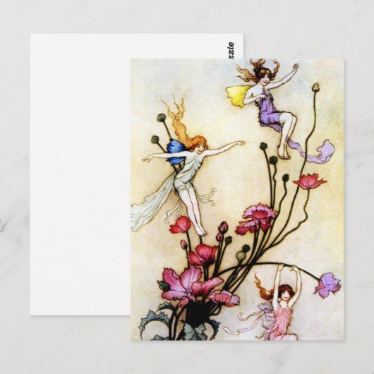 Briefkaart van parasieten en bloemen (Voorkant / Achterkant)