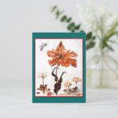 Briefkaart van Parrot Tulip (Staand voorkant)