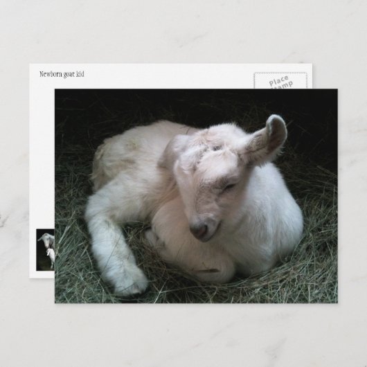 Briefkaart van pasgeboren kind (Voorkant / Achterkant)