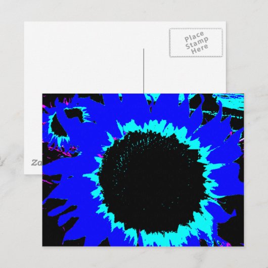 Briefkaart van Patsy en Mandy Blue Sunflower (Voorkant / Achterkant)