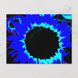 Briefkaart van Patsy en Mandy Blue Sunflower