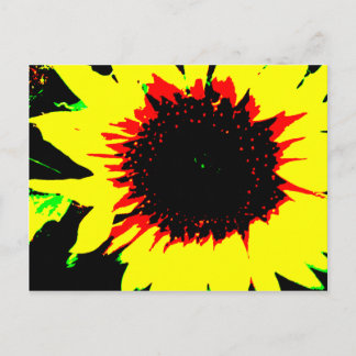 Briefkaart van Patsy en Mandy Sunflower