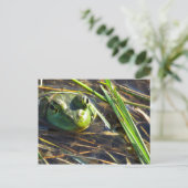 Briefkaart van pekelkikker (Staand voorkant)