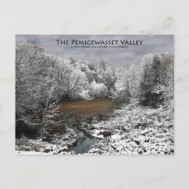 Briefkaart van Pemigewasset Valley: Mans op Snowy 