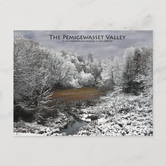 Briefkaart van Pemigewasset Valley: Mans op Snowy  (Voorkant)