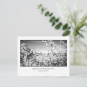 Briefkaart van perenbloesems (Staand voorkant)