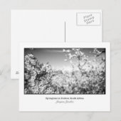 Briefkaart van perenbloesems (Voorkant / Achterkant)