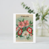 briefkaart van phlox-zaadpakket (Staand voorkant)