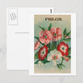 briefkaart van phlox-zaadpakket (Voorkant / Achterkant)