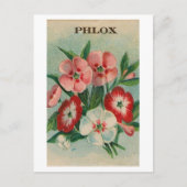 briefkaart van phlox-zaadpakket (Voorkant)