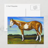 Briefkaart van pinto/Paint Horse (Voorkant / Achterkant)
