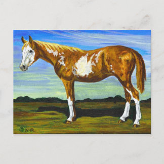 Briefkaart van pinto/Paint Horse