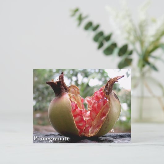 Briefkaart van Pomegranaat (Staand voorkant)
