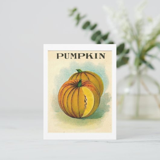 briefkaart van  pompzaadpakket (Staand voorkant)