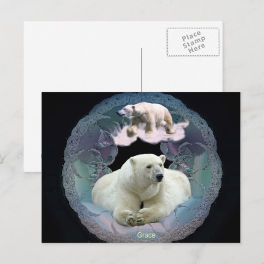 Briefkaart van poolBeer (Voorkant / Achterkant)