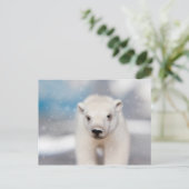 Briefkaart van poolBeer (Staand voorkant)