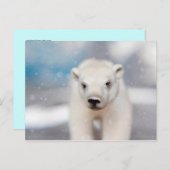 Briefkaart van poolBeer (Voorkant / Achterkant)