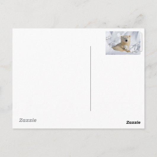 Briefkaart van poolBeer (Achterkant)