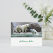 Briefkaart van poolBeer (Staand voorkant)