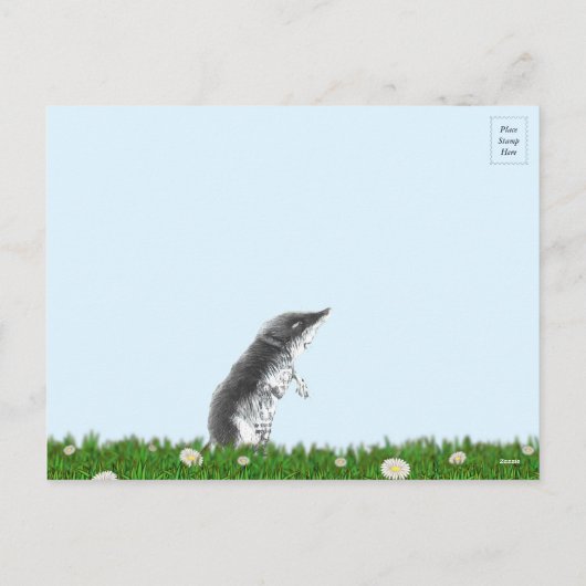 Briefkaart van postzegels voor dieren (Achterkant)