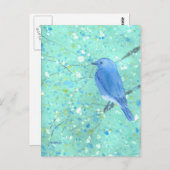 Briefkaart van prachtige blauwvogel (Voorkant / Achterkant)