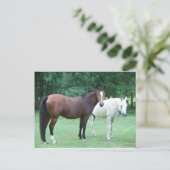 Briefkaart van prachtige paarden (Staand voorkant)