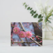 Briefkaart van pruimbloesems (Staand voorkant)