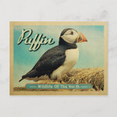 Briefkaart van Puffin Bird - Wilde dieren in het n (Voorkant)