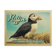 Briefkaart van Puffin Bird - Wilde dieren in het n